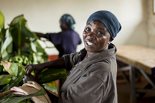 We Effect hjälper fattiga jordbrukare att odla mer och bättre mat. Foto: Shutterstock